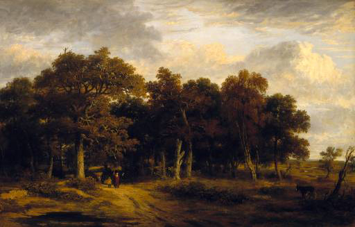 Photograph of Woody Landscape